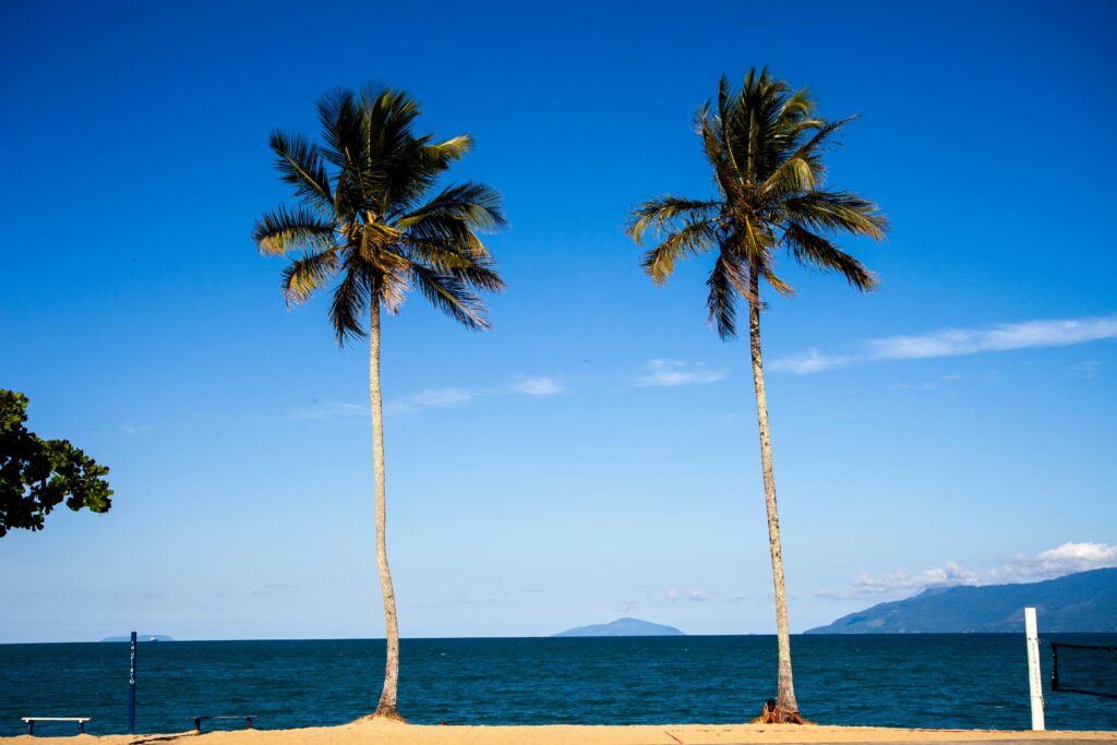 Peaceful beach scene featuring two tall palm trees against a clear blue sky.